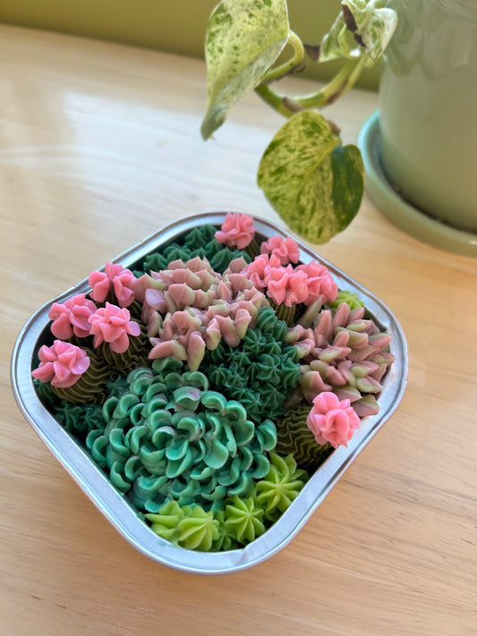 Succulent Cake