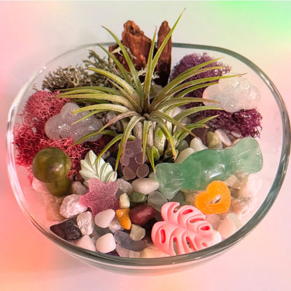 Candy Land Horticulture Happy Hour