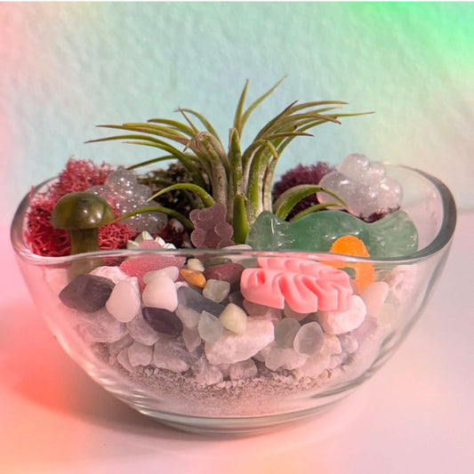 Candy Land Horticulture Happy Hour